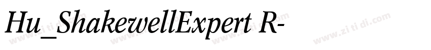 Hu_ShakewellExpert R字体转换